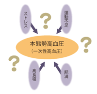 本態性高血圧 一次性高血圧 とed Edとは 浜松町第一クリニック